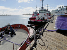 home cat tug mooring lines